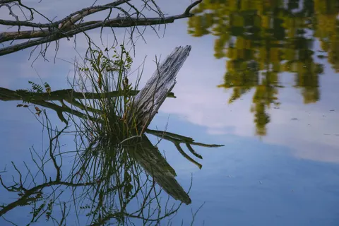 Autumn Lake 4K Wallpaper · autumn · 3840×2560