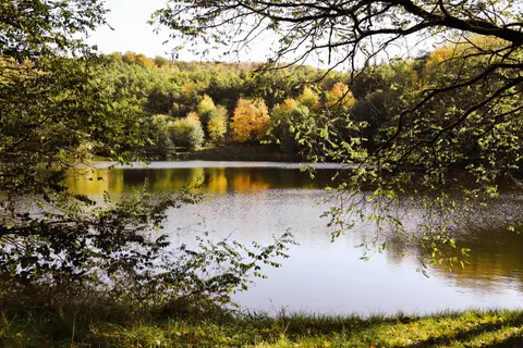 Autumn Lake 4K Wallpaper · autumn · 3840×2560