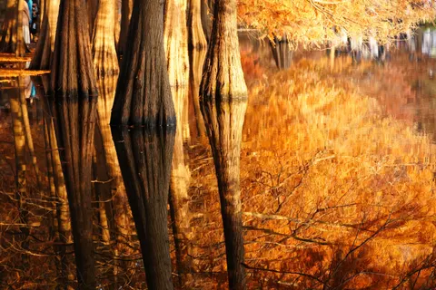 Autumn Lake 4K Wallpaper · autumn · 3840×2560