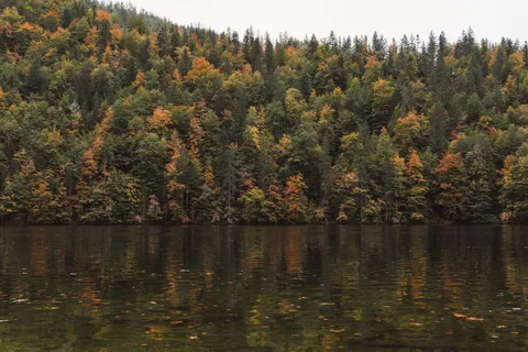 Autumn Lake 4K Wallpaper · autumn · 3840×2561