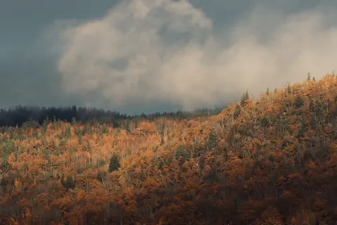 Autumn Mountains 4K Wallpaper · autumn · 3840×2560