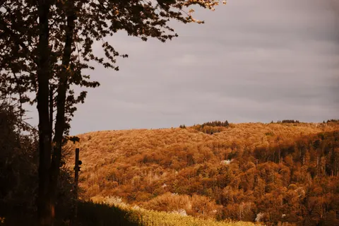 Autumn Mountains 4K Wallpaper · autumn · 3840×2560