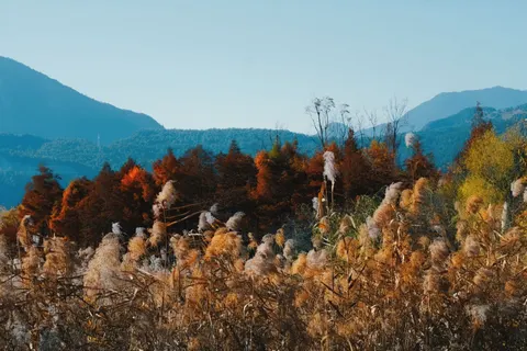 Autumn Mountains 4K Wallpaper · autumn · 3840×2560