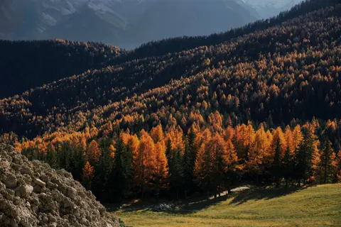 Autumn Mountains 4K Wallpaper · autumn · 3840×2560