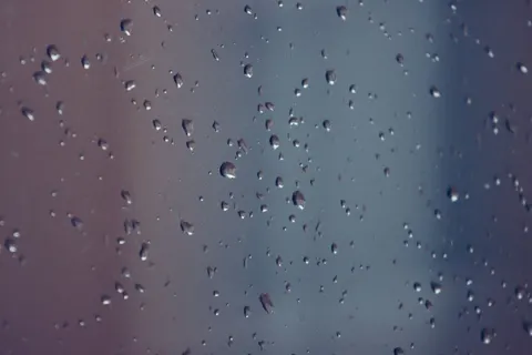 Papel de parede Gotas de chuva 4K · nature · 3840×2560