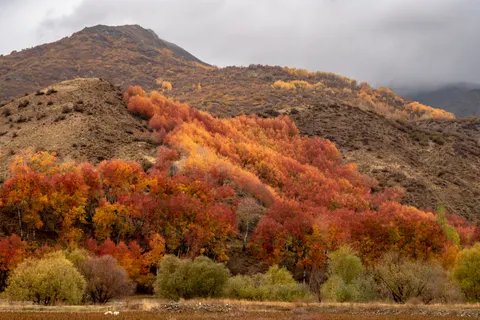 Autumn Mountains 4K Wallpaper · autumn · 3840×2560