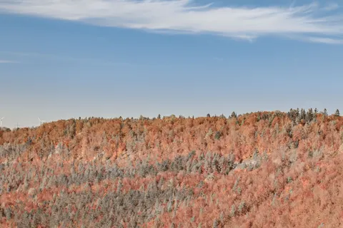 Autumn Mountains 4K Wallpaper · autumn · 3840×2560