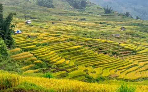 Rice Terraces 4K Wallpaper · nature · 3840×2405