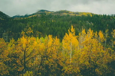 Autumn Mountains 4K Wallpaper · autumn · 3840×2560