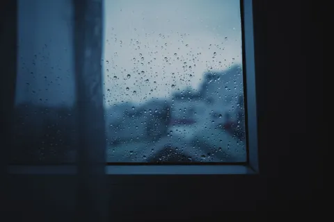 雨滴 4K壁纸 · nature · 3840×2560