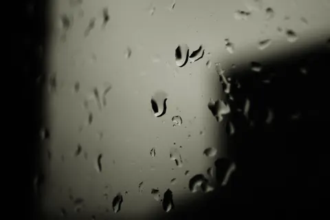 雨滴 4K壁纸 · nature · 3840×2560