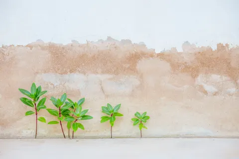 Cracked Paint 4K Wallpaper · textures · 3840×2563