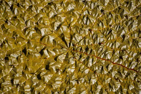 Hình nền Da thuộc 4K · textures · 3840×2560