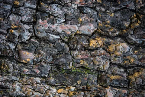 Leather 4K Wallpaper · textures · 3840×2563