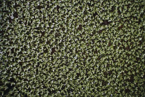 Gold Foil 4K Wallpaper · textures · 3840×2560