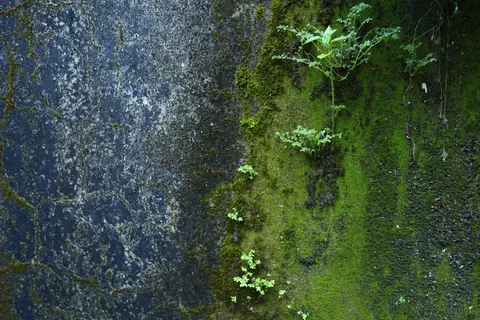 Concrete Texture 4K Wallpaper · textures · 3840×2560