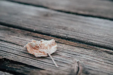 Wood Texture 4K Wallpaper · textures · 3840×2560