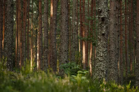 Wood Texture 4K Wallpaper · textures · 3840×2560