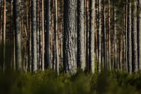 Wood Texture 4K Wallpaper · textures · 3840×2560