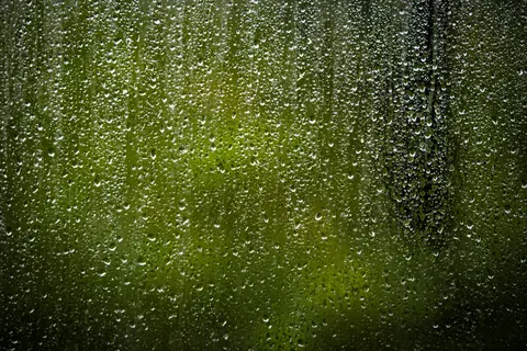 雨滴 4K壁纸 · nature · 3840×2560