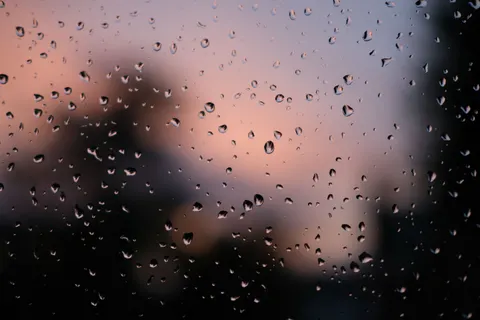 Papel de parede Gotas de chuva 4K · nature · 3840×2560