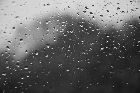 Fondo de pantalla Gotas de lluvia 4K · nature · 3840×2553