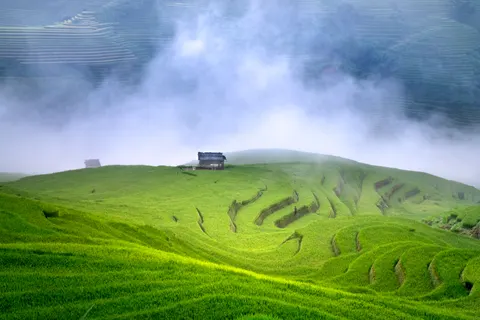 Fond d'écran Rizières en terrasses 4K · nature · 3840×2562
