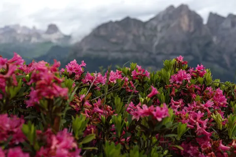 Fond d'écran Dolomites 4K · mountains · 3840×2560
