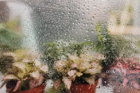 雨滴 4K壁纸 · nature · 3840×2560