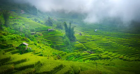 Fond d'écran Rizières en terrasses 4K · nature · 3840×2038