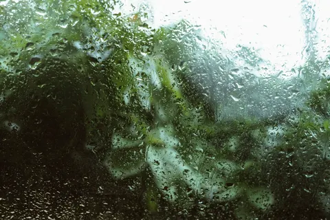 Rain Drops 4K Wallpaper · nature · 3840×2560
