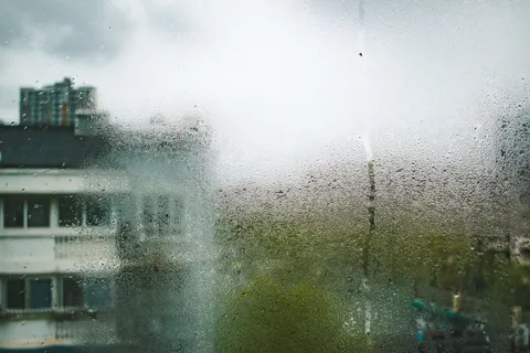 Fondo de pantalla Gotas de lluvia 4K · nature · 3840×2560