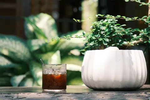 Tea 4K Wallpaper · food · 3840×2560