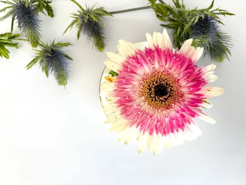 Tea 4K Wallpaper · food · 3840×2880
