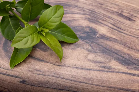 Tea 4K Wallpaper · food · 3840×2561
