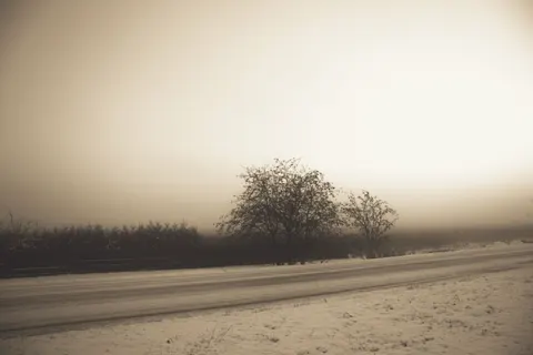 Fondo de pantalla Carretera con niebla 4K · nature · 3840×2563