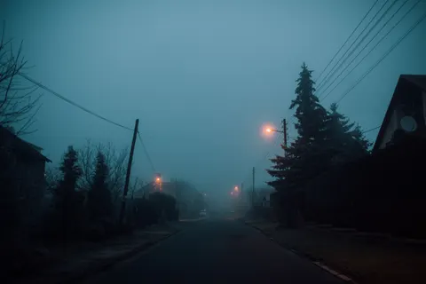 안개 낀 도로 4K 배경화면 · nature · 3840×2560