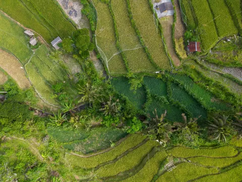Fond d'écran Rizières en terrasses 4K · nature · 3840×2880