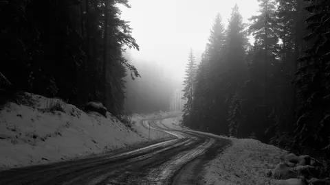 Fondo de pantalla Carretera con niebla 4K · nature · 3840×2160