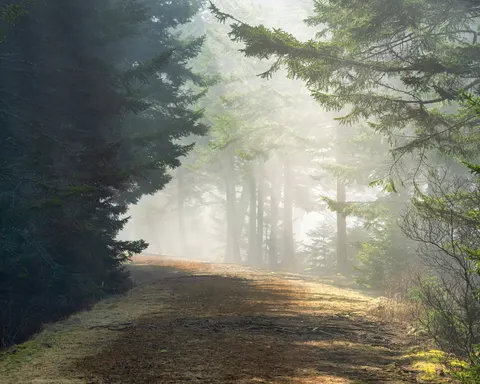 안개 낀 도로 4K 배경화면 · nature · 3840×3072