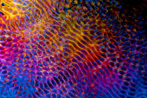 Geometric Pattern 4K Wallpaper · abstract · 3840×2560
