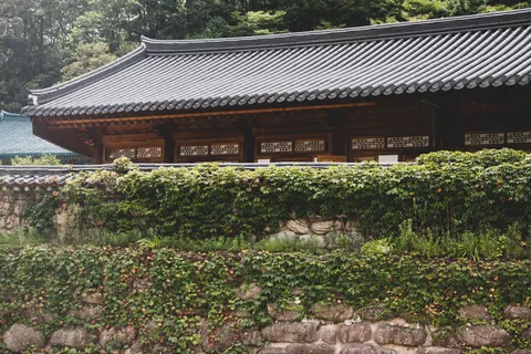Kyoto 4K Wallpaper · travel · 3840×2560