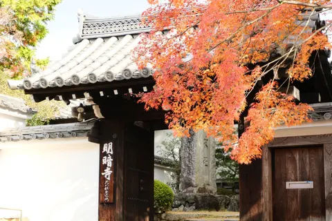 Kyoto 4K Wallpaper · travel · 3840×2560