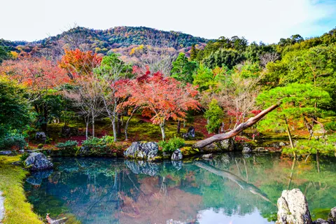Kyoto 4K Wallpaper · travel · 3840×2560