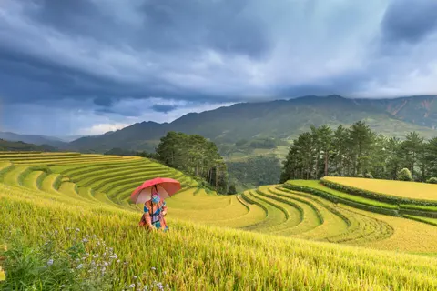 Bali 4K Wallpaper · travel · 3840×2561