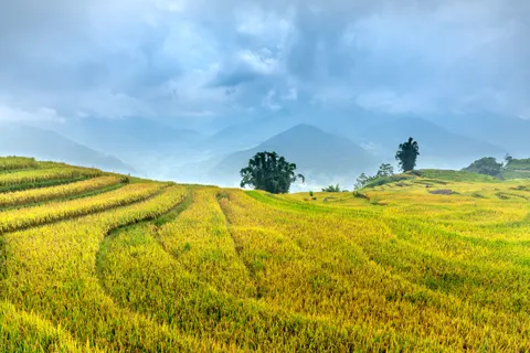 Bali 4K Wallpaper · travel · 3840×2561