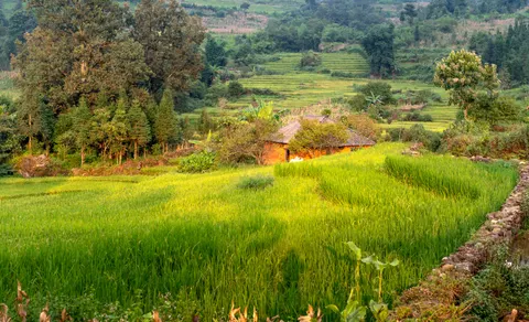 Bali 4K Wallpaper · travel · 3840×2337