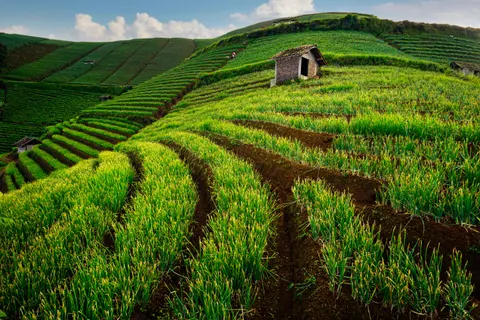 Bali 4K Wallpaper · travel · 3840×2560