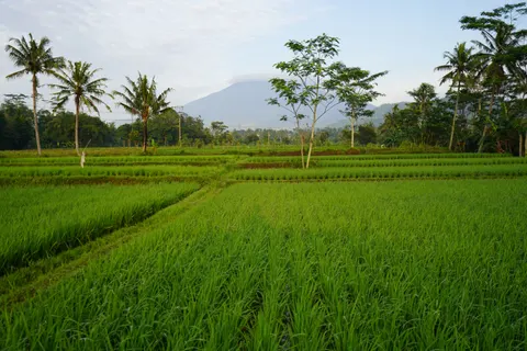 Bali 4K Wallpaper · travel · 3840×2560