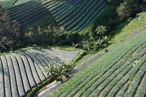 Bali 4K Wallpaper · travel · 3840×2561